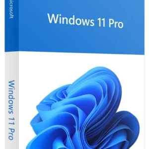 Windows 11 pro